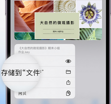 呼图壁apple维修中心分享iPhone文件应用中存储和找到下载文件