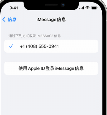 呼图壁apple维修iPhone上无法正常发送iMessage信息 