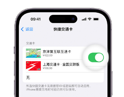 呼图壁apple维修点分享iPhone上更换Apple Pay快捷交通卡手绘卡面 