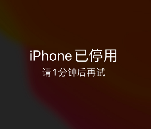 呼图壁苹果手机维修分享:iPhone 显示“不可用”或“已停用”怎么办？还能保留数据吗？ 