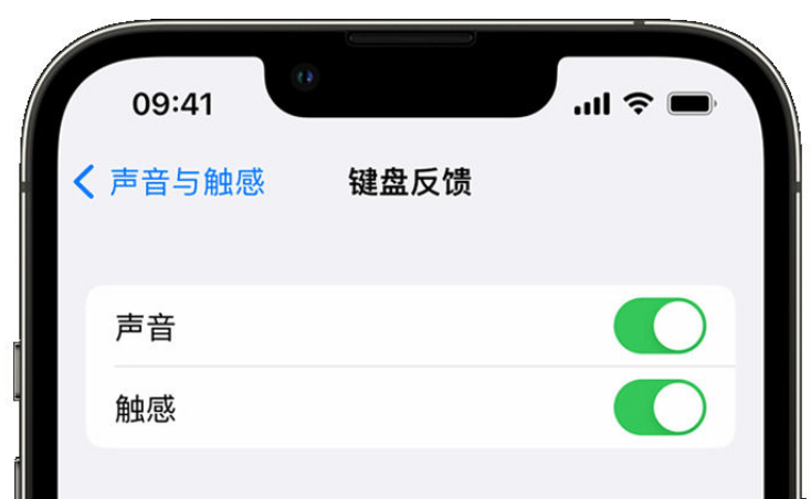 呼图壁苹果手机维修分享iPhone 14触感键盘使用方法 