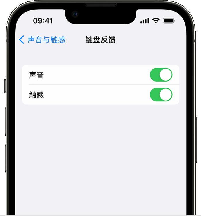 呼图壁苹果14维修店分享如何在 iPhone 14 机型中使用触感键盘 