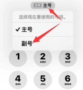 呼图壁苹果14维修店分享iPhone 14 Pro Max使用副卡打电话的方法 