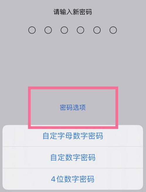 呼图壁苹果14维修分享iPhone 14plus设置密码的方法 