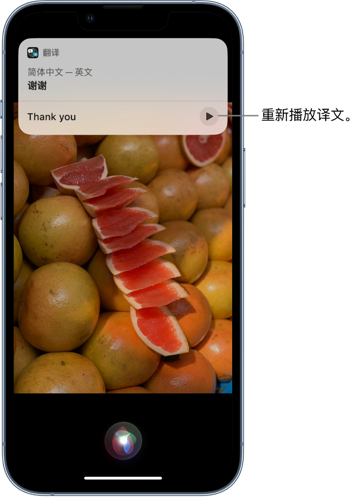 呼图壁苹果14维修分享 iPhone 14 机型中使用 Siri：了解 Siri 能帮你做什么 