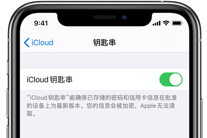 呼图壁苹果手机维修分享在 iPhone 上开启 iCloud 钥匙串之后会储存哪些信息 