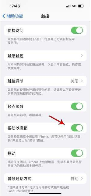 呼图壁苹果手机维修分享iPhone手机如何设置摇一摇删除文字 